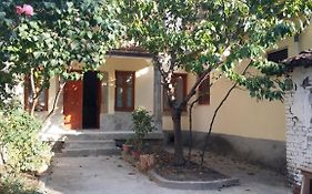 Vila 1926 Hostel